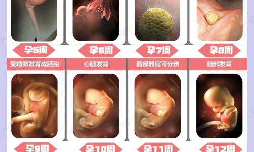 高 血压的症状网—知名的轻度高血压的症状网站,分享高血压的症状初期有什么症状知识